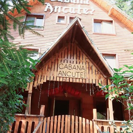 Cabana Ancutei Rucăr 외부 사진