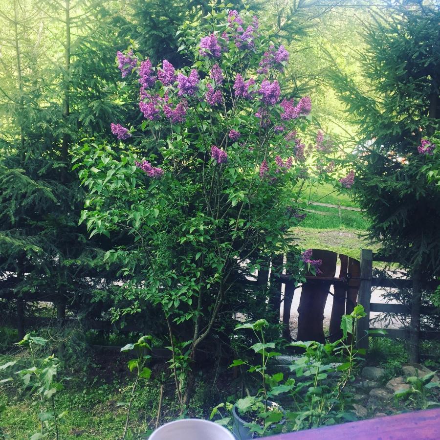 Cabana Ancutei Rucăr 외부 사진