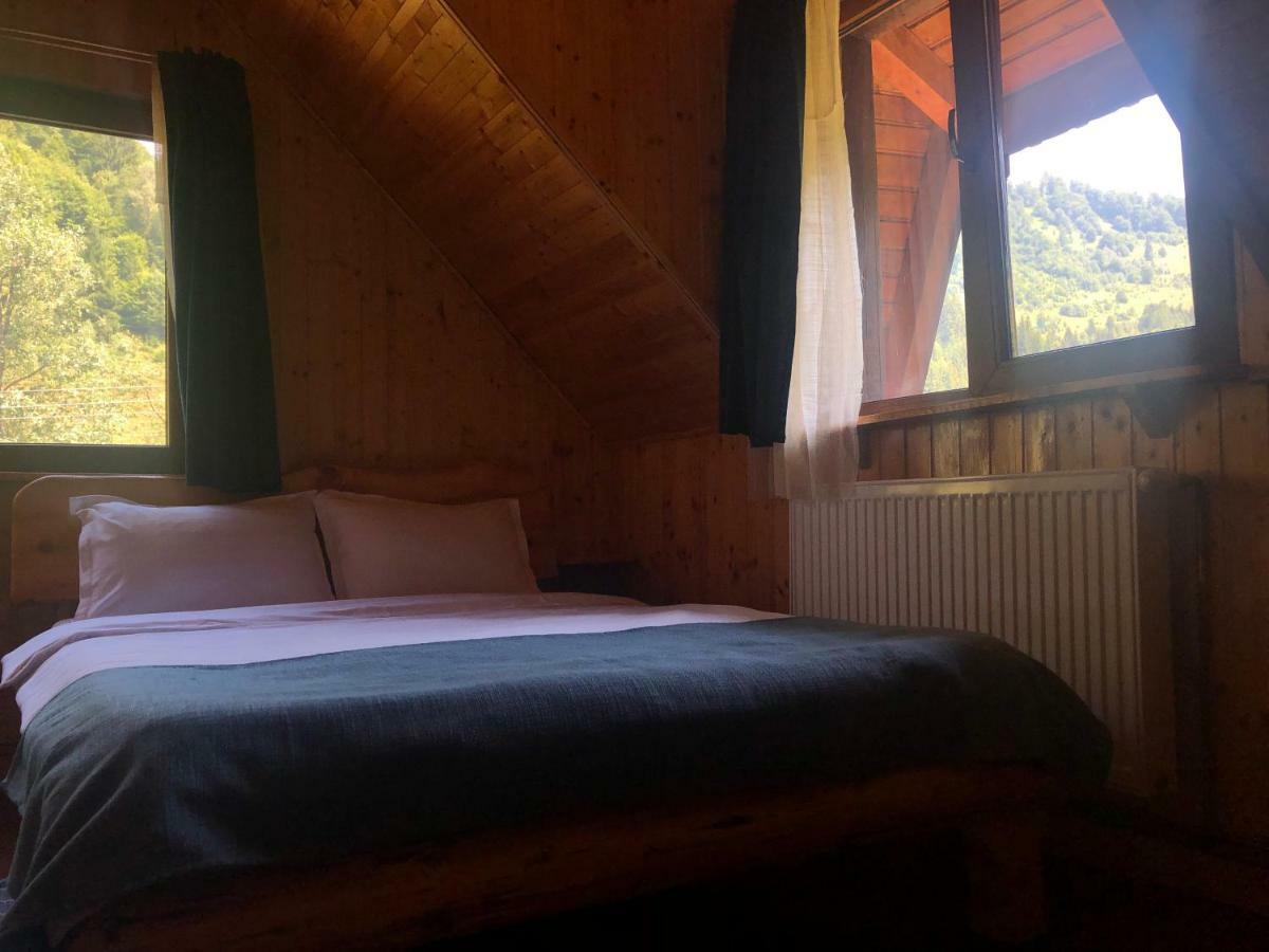 Cabana Ancutei Rucăr 외부 사진
